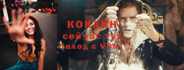 эйфоретик Сосновка