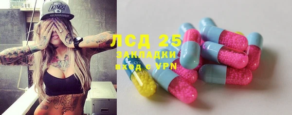 эйфоретик Сосновка