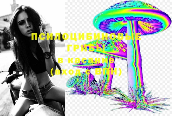 ECSTASY Сосновый Бор